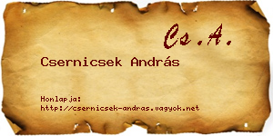 Csernicsek András névjegykártya